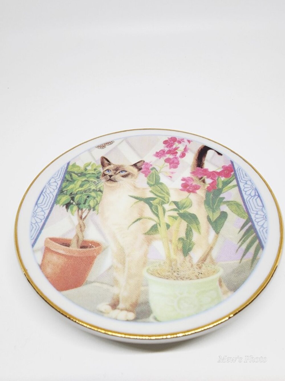 Vintage - Siamese Cat with House Plants Glided Decorative Dish by Russ Berrie